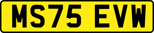 MS75EVW