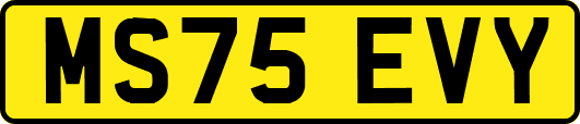 MS75EVY