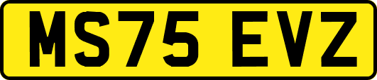 MS75EVZ