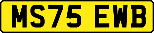 MS75EWB