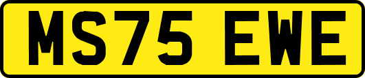 MS75EWE