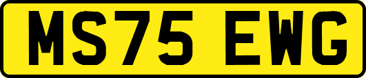 MS75EWG