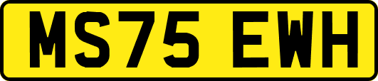MS75EWH