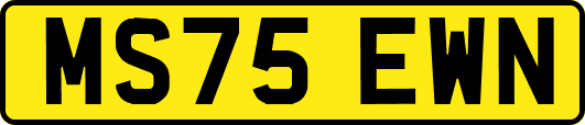 MS75EWN
