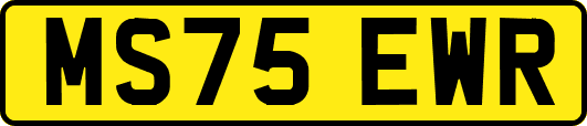 MS75EWR