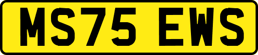 MS75EWS