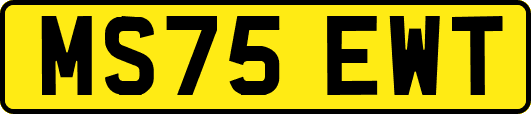 MS75EWT