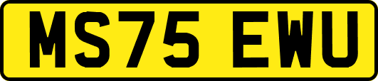 MS75EWU