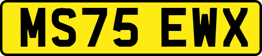 MS75EWX