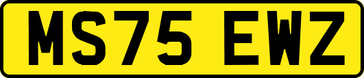 MS75EWZ