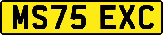 MS75EXC