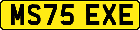 MS75EXE