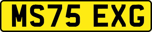 MS75EXG