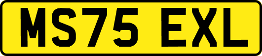 MS75EXL