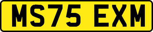 MS75EXM
