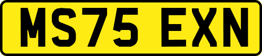 MS75EXN