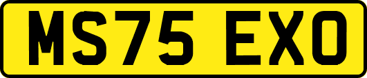 MS75EXO