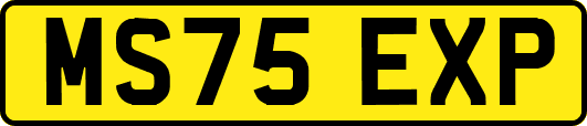 MS75EXP