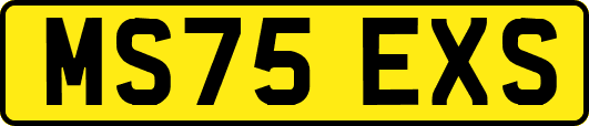MS75EXS
