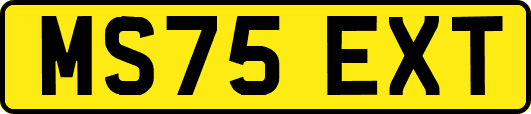 MS75EXT