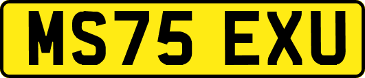 MS75EXU