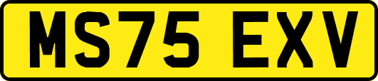 MS75EXV