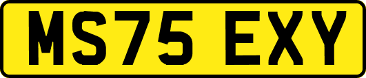 MS75EXY