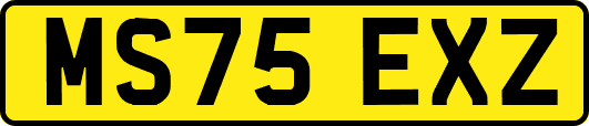 MS75EXZ
