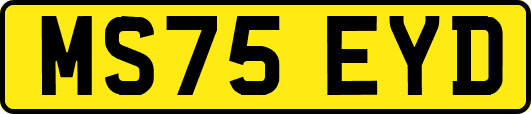 MS75EYD