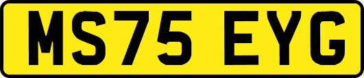 MS75EYG