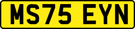 MS75EYN