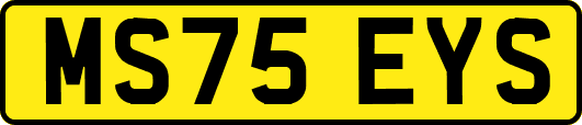MS75EYS