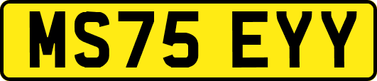MS75EYY
