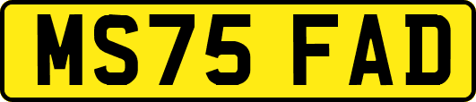 MS75FAD