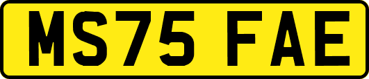 MS75FAE