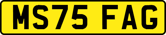 MS75FAG