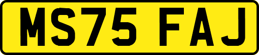 MS75FAJ