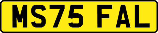 MS75FAL