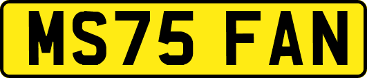 MS75FAN