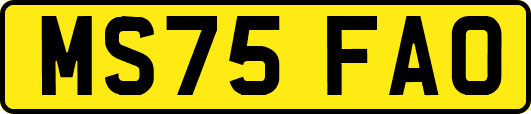 MS75FAO
