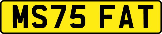 MS75FAT