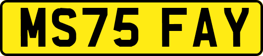 MS75FAY