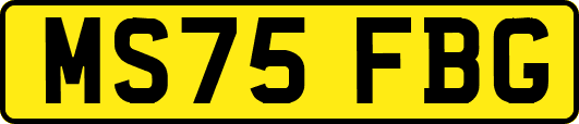 MS75FBG