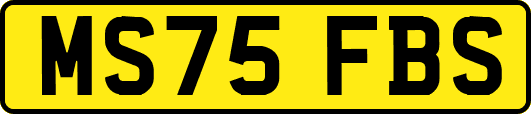 MS75FBS