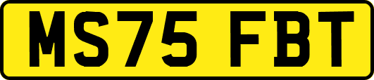MS75FBT