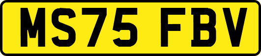 MS75FBV