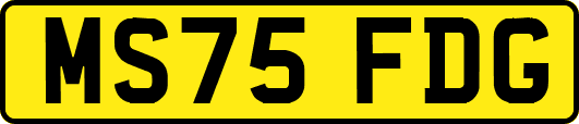 MS75FDG