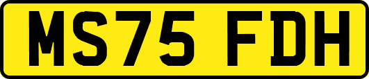 MS75FDH