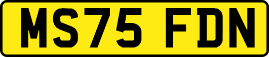 MS75FDN