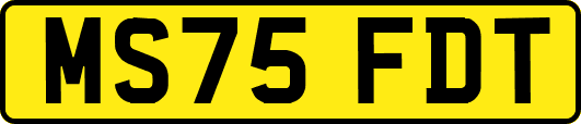 MS75FDT